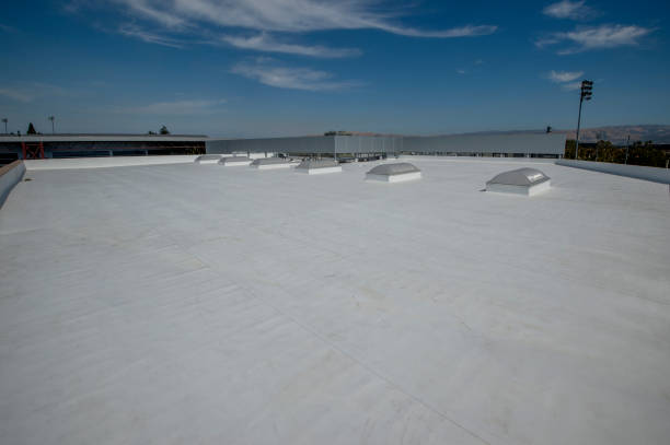 Best Skylight Installation and Repair  in Barrington, IL