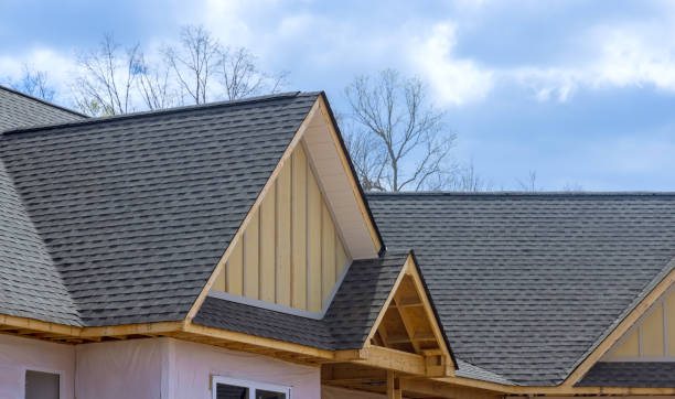 Best Solar Panel Roofing Installation  in Barrington, IL